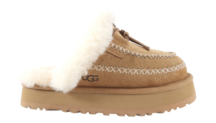 Disquette Alpine Slipper